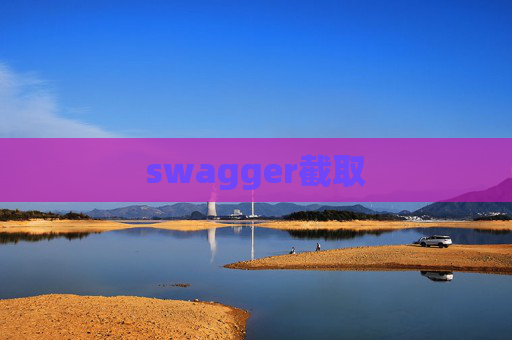 swagger截取